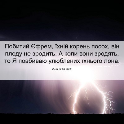 Picture 06 - Осія 9:16 UKR - Побитий Єфрем, їхній - Bible Verse Picture