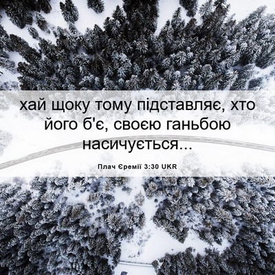 Picture 06 - Плач Єремії 3:30 UKR - хай щоку тому підставляє, - Bible Verse Picture