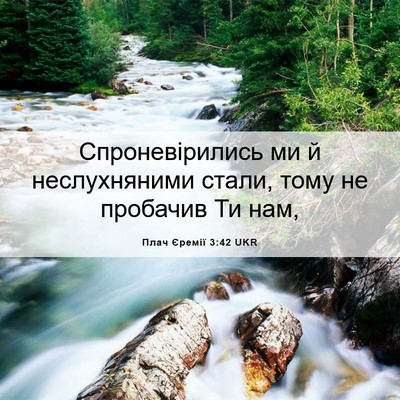 Picture 06 - Плач Єремії 3:42 UKR - Спроневірились ми й - Bible Verse Picture