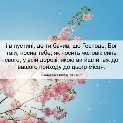 Picture 06 - Повторення Закону 1:31 UKR - і в пустині, де ти бачив, що - Bible Verse Picture