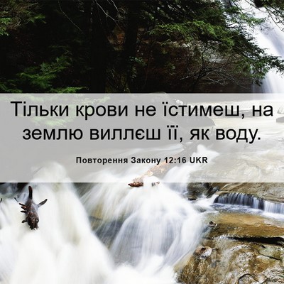 Picture 06 - Повторення Закону 12:16 UKR - Тільки крови не їстимеш, на - Bible Verse Picture