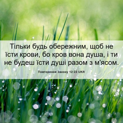 Picture 06 - Повторення Закону 12:23 UKR - Тільки будь обережним, щоб - Bible Verse Picture