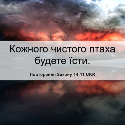Picture 06 - Повторення Закону 14:11 UKR - Кожного чистого птаха - Bible Verse Picture