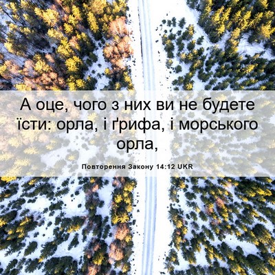 Picture 06 - Повторення Закону 14:12 UKR - А оце, чого з них ви не - Bible Verse Picture