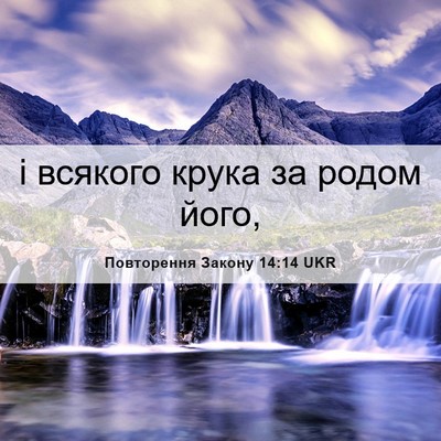 Picture 06 - Повторення Закону 14:14 UKR - і всякого крука за родом - Bible Verse Picture