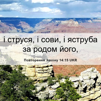 Picture 06 - Повторення Закону 14:15 UKR - і струся, і сови, і яструба - Bible Verse Picture