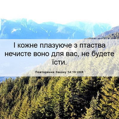 Picture 06 - Повторення Закону 14:19 UKR - І кожне плазуюче з птаства - Bible Verse Picture