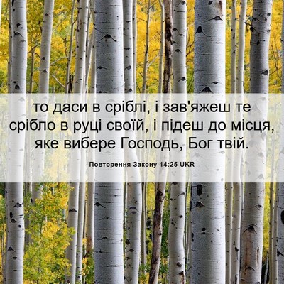 Picture 06 - Повторення Закону 14:25 UKR - то даси в сріблі, і зав'яжеш - Bible Verse Picture