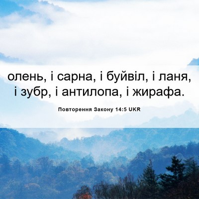 Picture 06 - Повторення Закону 14:5 UKR - олень, і сарна, і буйвіл, і - Bible Verse Picture
