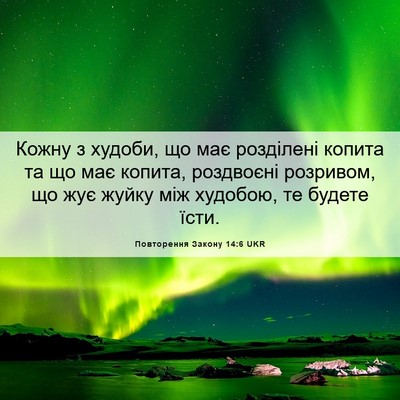 Picture 06 - Повторення Закону 14:6 UKR - Кожну з худоби, що має - Bible Verse Picture