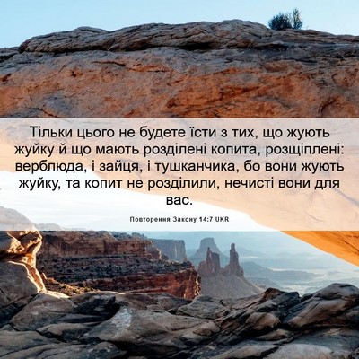 Picture 06 - Повторення Закону 14:7 UKR - Тільки цього не будете - Bible Verse Picture