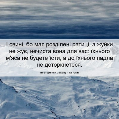 Picture 06 - Повторення Закону 14:8 UKR - І свині, бо має розділені - Bible Verse Picture