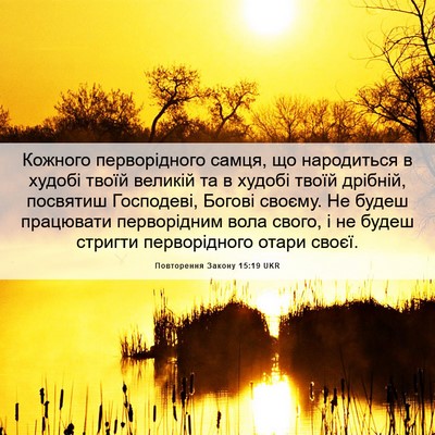 Picture 06 - Повторення Закону 15:19 UKR - Кожного перворідного - Bible Verse Picture
