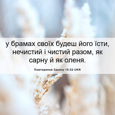 Picture 06 - Повторення Закону 15:22 UKR - у брамах своїх будеш його - Bible Verse Picture