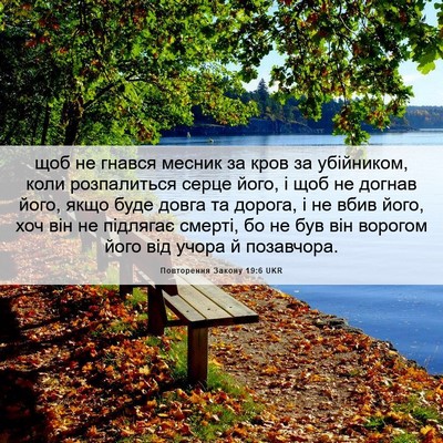 Picture 06 - Повторення Закону 19:6 UKR - щоб не гнався месник за - Bible Verse Picture