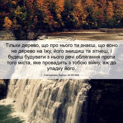 Picture 06 - Повторення Закону 20:20 UKR - Тільки дерево, що про нього - Bible Verse Picture