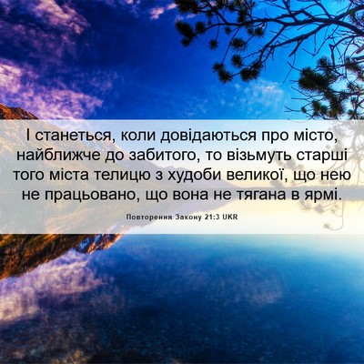 Picture 06 - Повторення Закону 21:3 UKR - І станеться, коли - Bible Verse Picture