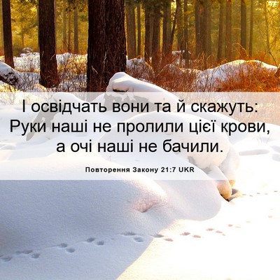 Picture 06 - Повторення Закону 21:7 UKR - І освідчать вони та й - Bible Verse Picture