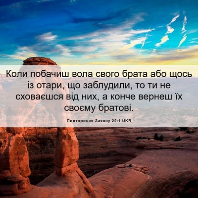 Picture 06 - Повторення Закону 22:1 UKR - Коли побачиш вола свого - Bible Verse Picture