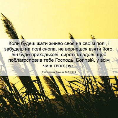 Picture 06 - Повторення Закону 24:19 UKR - Коли будеш жати жниво своє - Bible Verse Picture