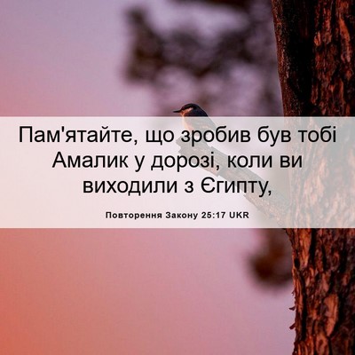 Picture 06 - Повторення Закону 25:17 UKR - Пам'ятайте, що зробив був - Bible Verse Picture