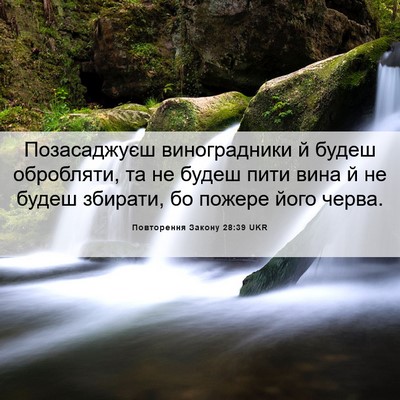 Picture 06 - Повторення Закону 28:39 UKR - Позасаджуєш виноградники - Bible Verse Picture