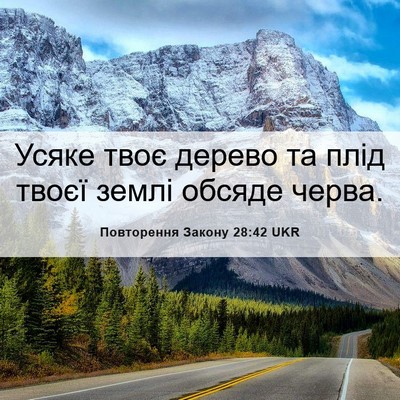 Picture 06 - Повторення Закону 28:42 UKR - Усяке твоє дерево та плід - Bible Verse Picture