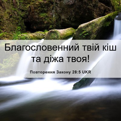 Picture 06 - Повторення Закону 28:5 UKR - Благословенний твій кіш та - Bible Verse Picture