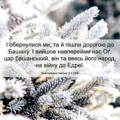 Picture 06 - Повторення Закону 3:1 UKR - І обернулися ми, та й пішли - Bible Verse Picture