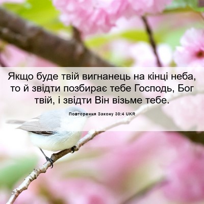 Picture 06 - Повторення Закону 30:4 UKR - Якщо буде твій вигнанець - Bible Verse Picture