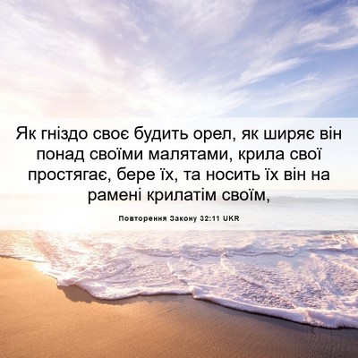 Picture 06 - Повторення Закону 32:11 UKR - Як гніздо своє будить орел, - Bible Verse Picture