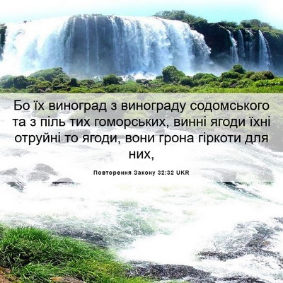 Picture 06 - Повторення Закону 32:32 UKR - Бо їх виноград з винограду - Bible Verse Picture