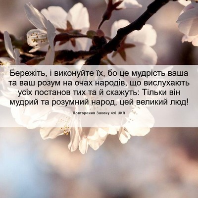 Picture 06 - Повторення Закону 4:6 UKR - Бережіть, і виконуйте їх, - Bible Verse Picture