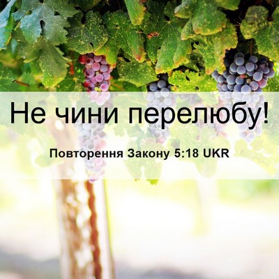 Picture 06 - Повторення Закону 5:18 UKR - Не чини - Bible Verse Picture
