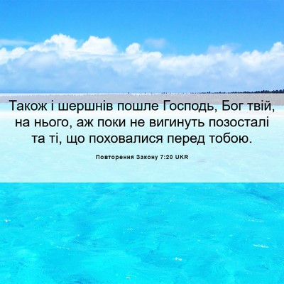 Picture 06 - Повторення Закону 7:20 UKR - Також і шершнів пошле - Bible Verse Picture