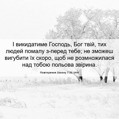Picture 06 - Повторення Закону 7:22 UKR - І викидатиме Господь, Бог - Bible Verse Picture
