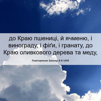 Picture 06 - Повторення Закону 8:8 UKR - до Краю пшениці, й ячменю, і - Bible Verse Picture