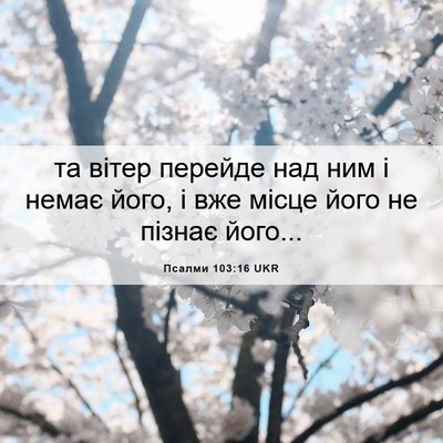 Picture 06 - Псалми 103:16 UKR - та вітер перейде над ним і - Bible Verse Picture