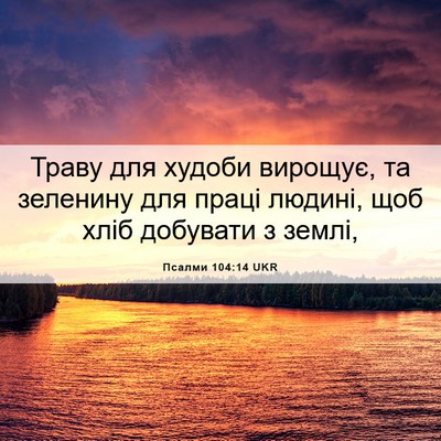 Picture 06 - Псалми 104:14 UKR - Траву для худоби вирощує, - Bible Verse Picture