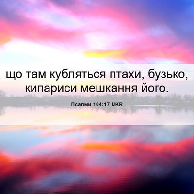 Picture 06 - Псалми 104:17 UKR - що там кубляться птахи, - Bible Verse Picture