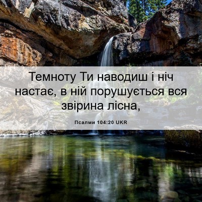 Picture 06 - Псалми 104:20 UKR - Темноту Ти наводиш і ніч - Bible Verse Picture