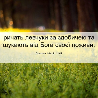 Picture 06 - Псалми 104:21 UKR - ричать левчуки за здобичею - Bible Verse Picture