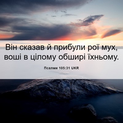 Picture 06 - Псалми 105:31 UKR - Він сказав й прибули рої - Bible Verse Picture
