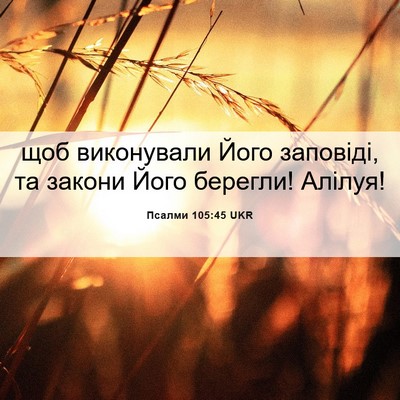 Picture 06 - Псалми 105:45 UKR - щоб виконували Його - Bible Verse Picture