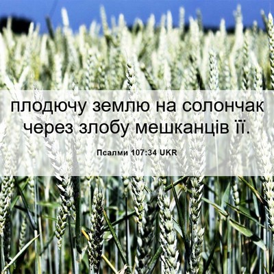 Picture 06 - Псалми 107:34 UKR - плодючу землю на солончак - Bible Verse Picture