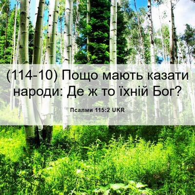 Picture 06 - Псалми 115:2 UKR - (114-10) Пощо мають казати - Bible Verse Picture