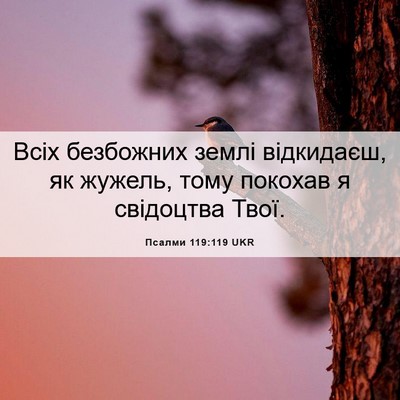 Picture 06 - Псалми 119:119 UKR - Всіх безбожних землі - Bible Verse Picture