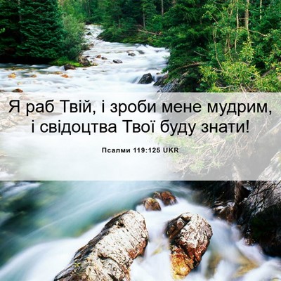 Picture 06 - Псалми 119:125 UKR - Я раб Твій, і зроби мене - Bible Verse Picture