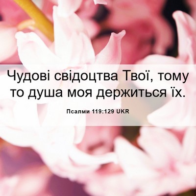 Picture 06 - Псалми 119:129 UKR - Чудові свідоцтва Твої, - Bible Verse Picture