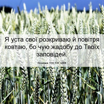 Picture 06 - Псалми 119:131 UKR - Я уста свої розкриваю й - Bible Verse Picture